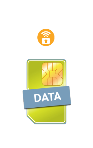 Pure Data 4G SIM Card