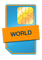 World Sim Icon